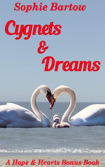 Cygnets & Dreams